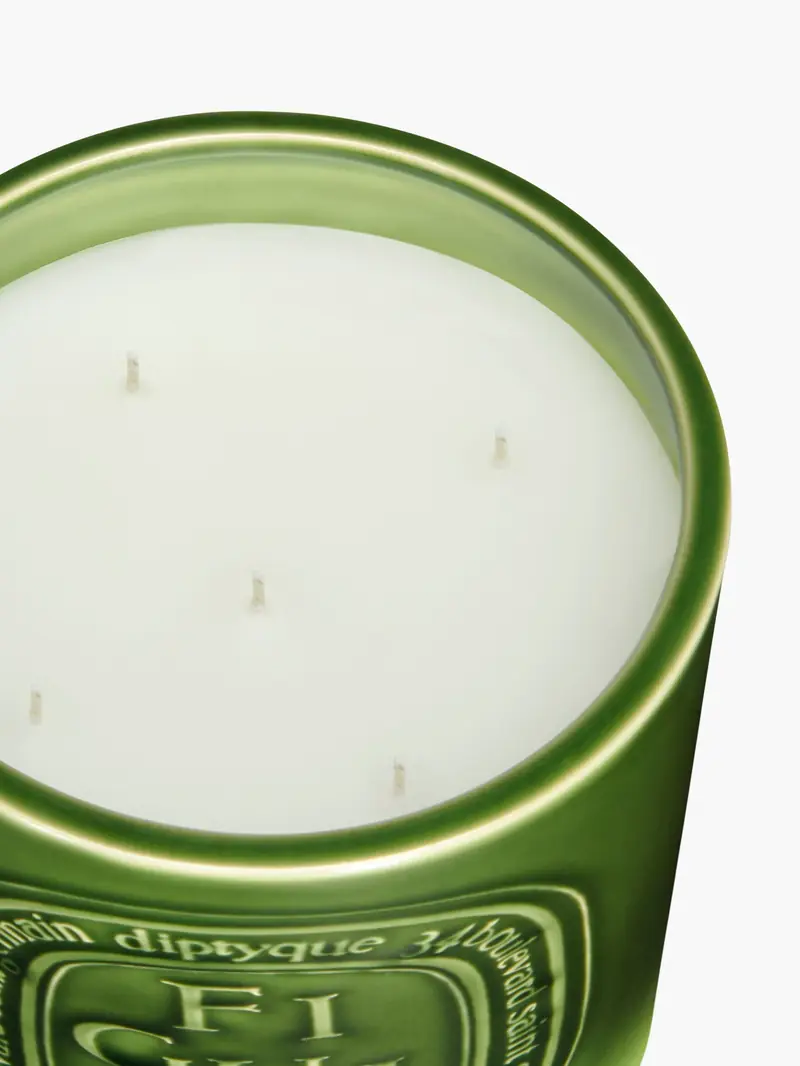 Diptyque Scented Candle 1500g in Figuier, photo 2 of 3