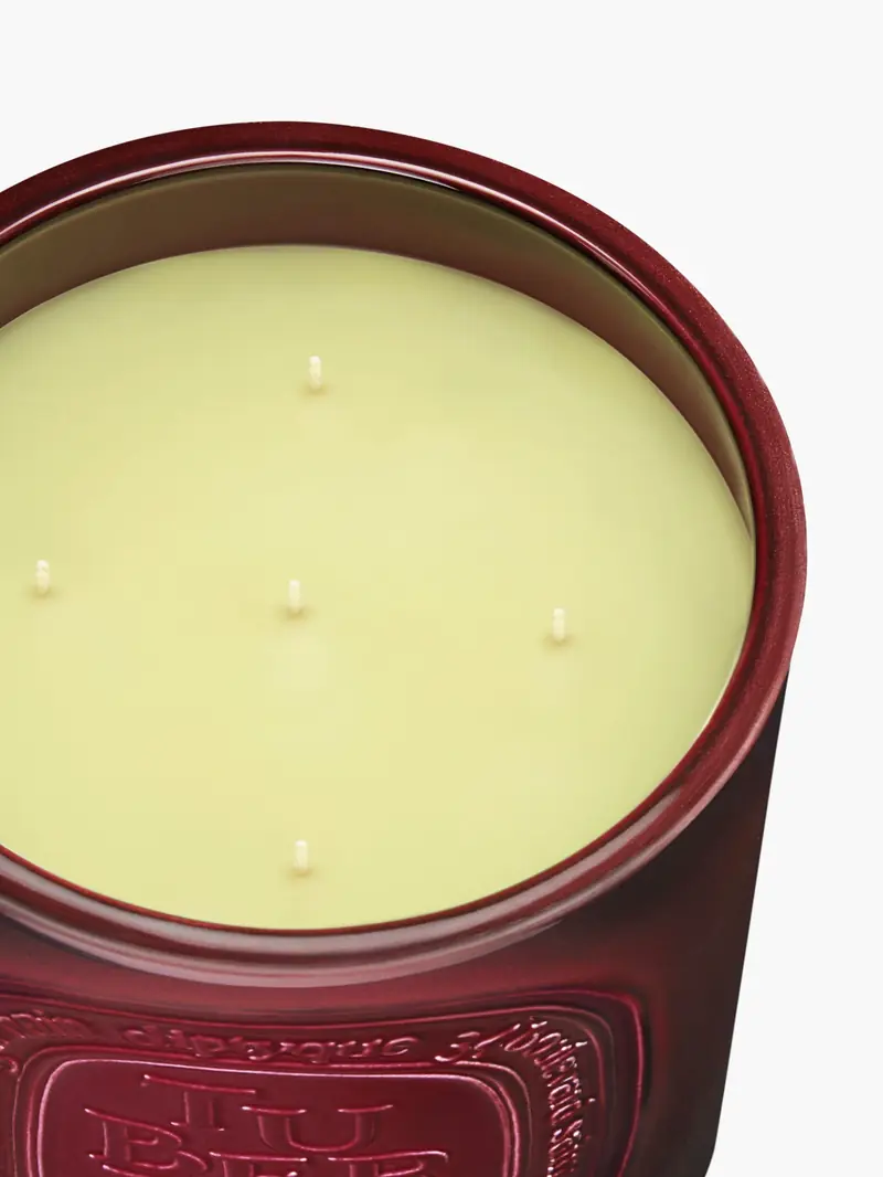 Diptyque Scented Candle 1500g in Tubéreuse, photo 2 of 3