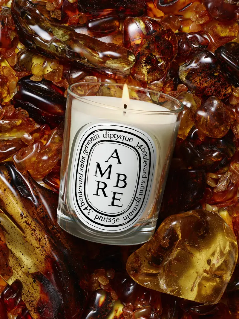 Diptyque Scented Candle 190g in Ambre, photo 3 of 3