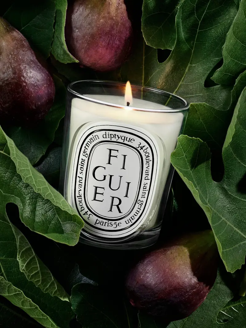 Diptyque Scented Candle 190g in Figuier, photo 3 of 3